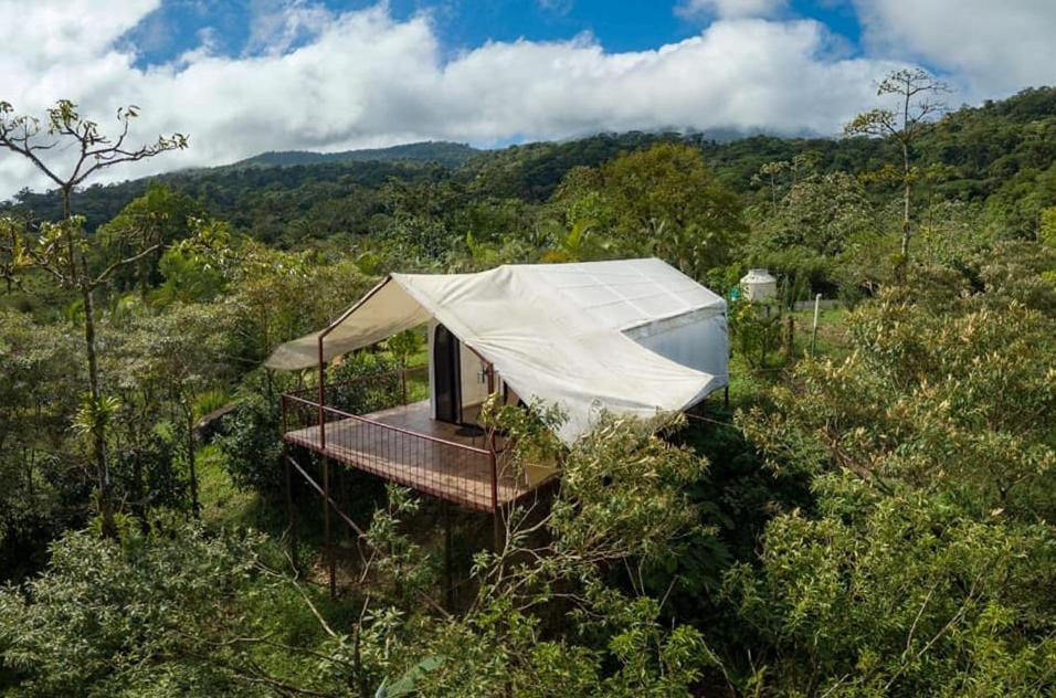 Garza Del Sol Glamping Rio Celeste Buganvilia Eksteriør billede