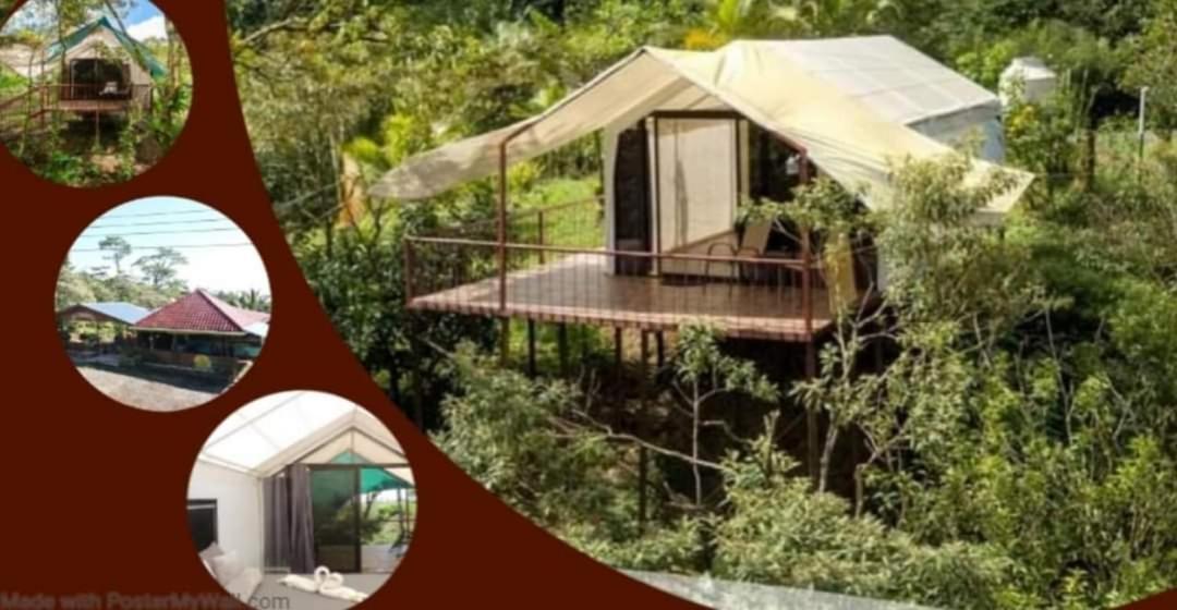 Garza Del Sol Glamping Rio Celeste Buganvilia Eksteriør billede