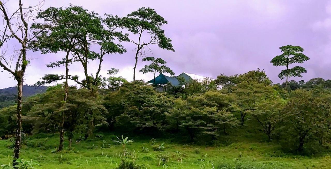Garza Del Sol Glamping Rio Celeste Buganvilia Eksteriør billede