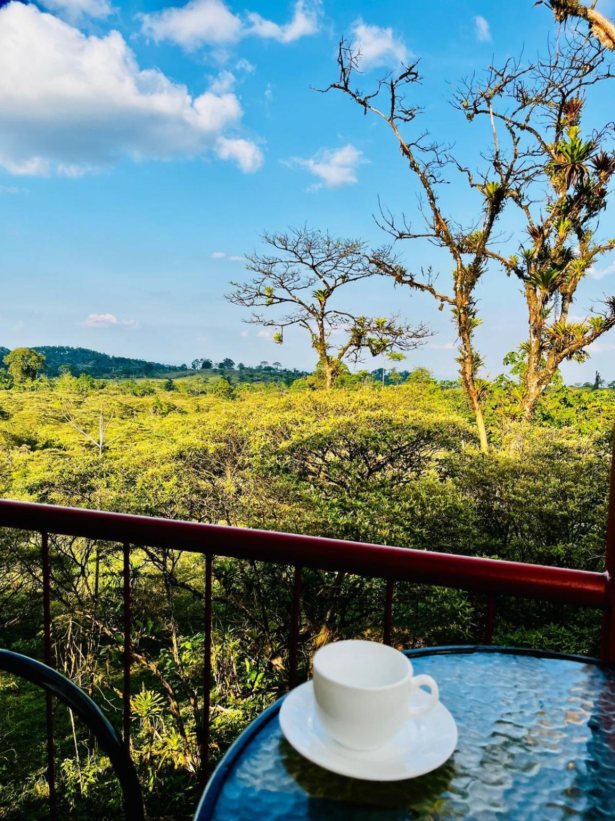 Garza Del Sol Glamping Rio Celeste Buganvilia Eksteriør billede
